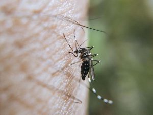 312c91f9c1bfa57c124806f5eea63123_L