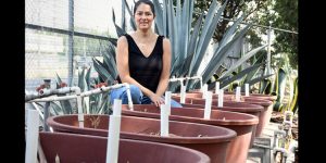 A-Dra-Cynthia-Romero_0-750x375