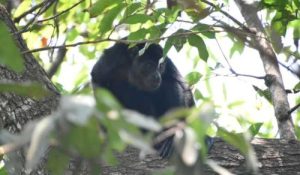 post_ff215a88-d15c-4dfd-9b9e-75c5c1e9f42b-1