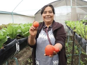 c53b883f027676479160cf594d3999b0_L