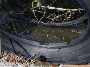 21874bc28813810f3a3edffddba32e28_L