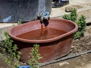 3f3d2c6fa41a6ad97d60ad1c81f43333_L