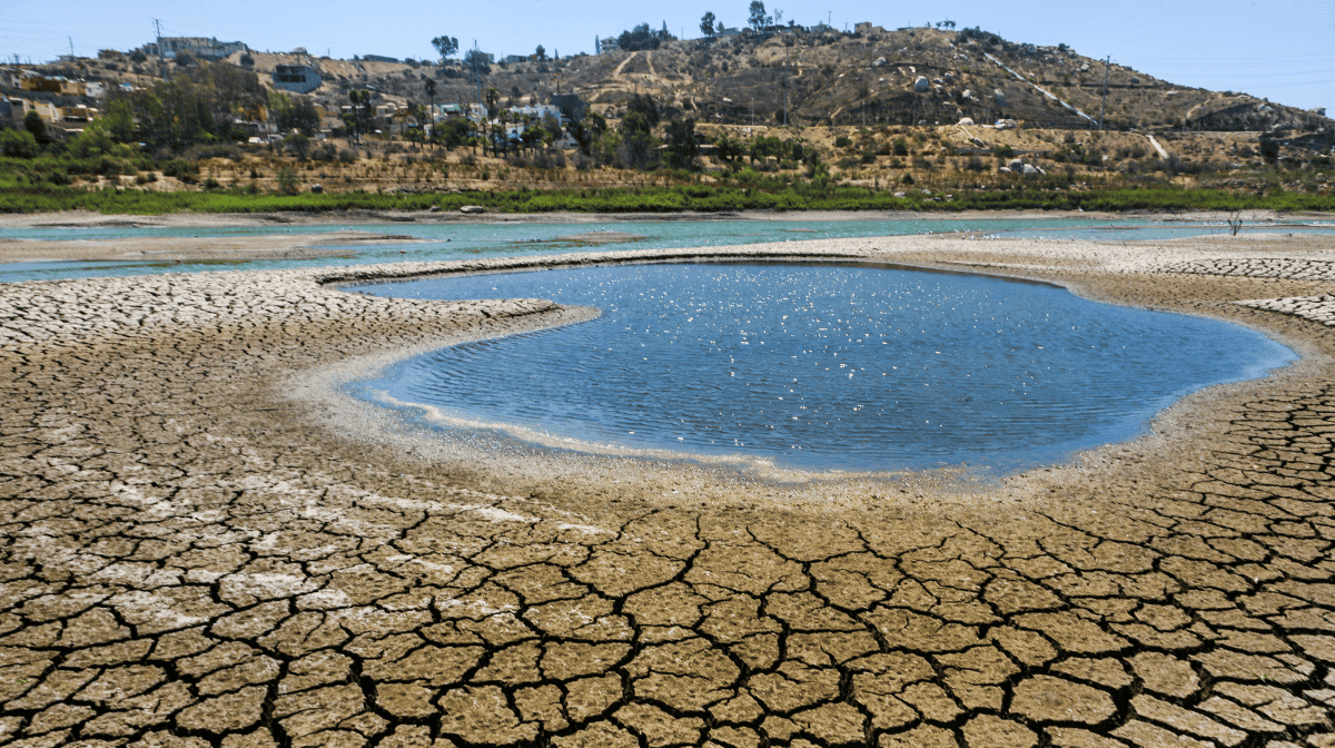 biodiversidad