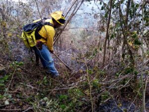 incendios forestales