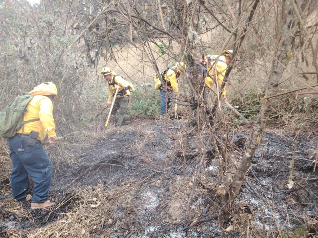 incendios forestales