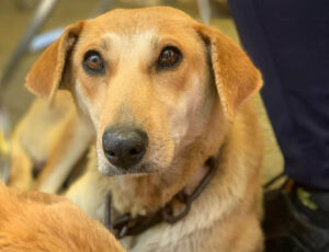 Gobierno de la Ciudad