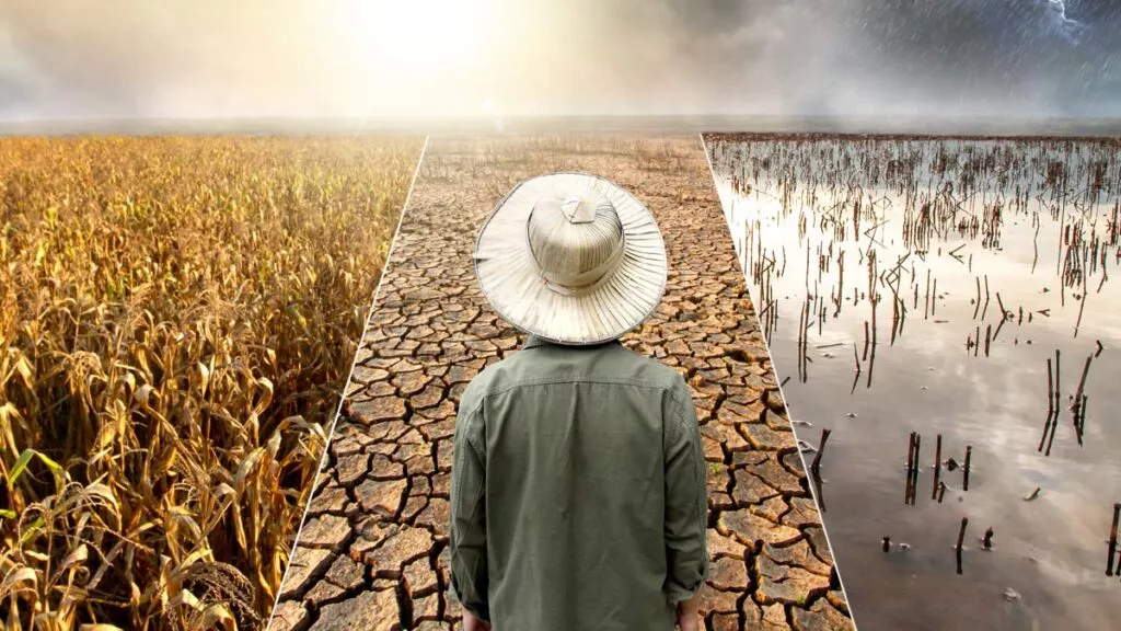 Sequía, afectaciones en la vida cotidiana