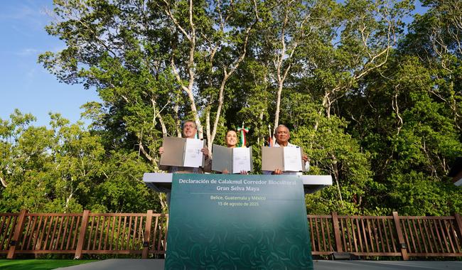 México, Guatemala y Belice crean el Corredor Biocultural de la Gran Selva Maya