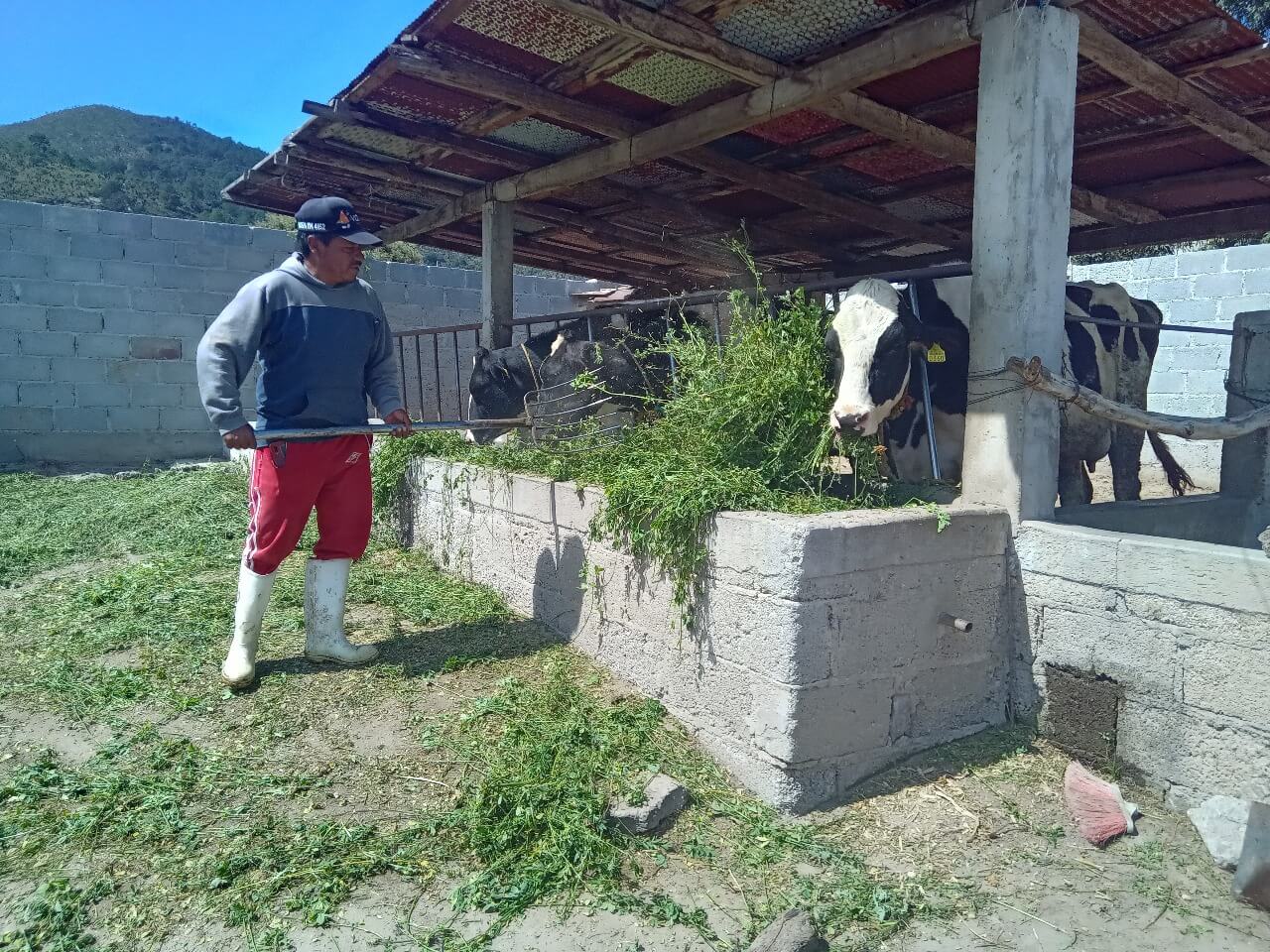 Granjas Carroll impulsa rotación de cultivos y producción forrajera